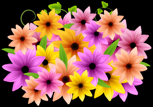 1462228 (a): :4000x2780